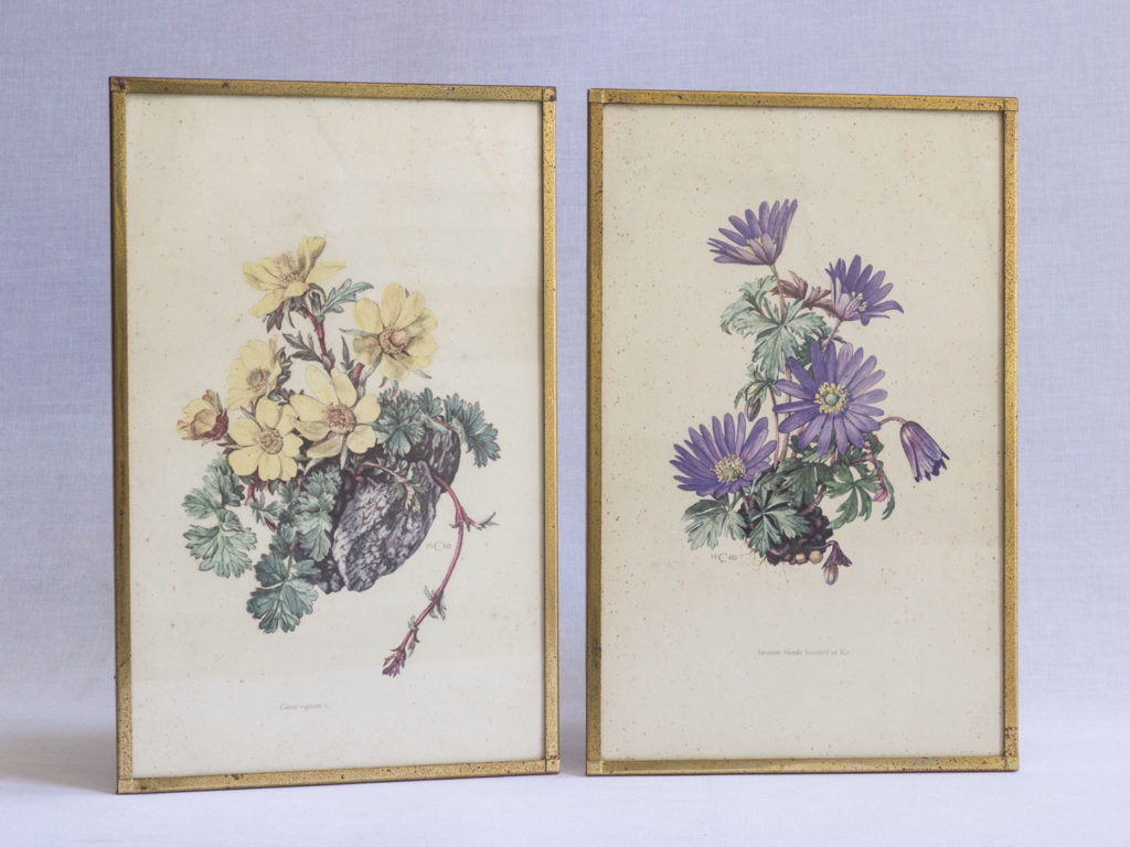 Lot de deux gravures fleuries